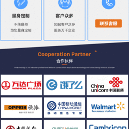 精品企業(yè)網(wǎng)站與手機(jī)軟件 一體化定制開發(fā)解決方案